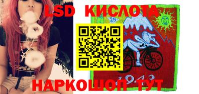 шишки Лесосибирск