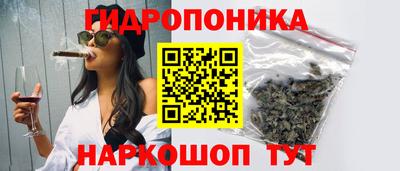 шишки Лесосибирск