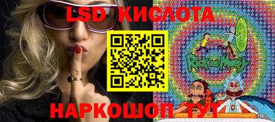 шишки Лесосибирск