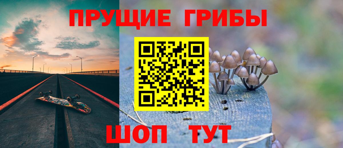 Галлюциногенные грибы Psilocybe Ишим